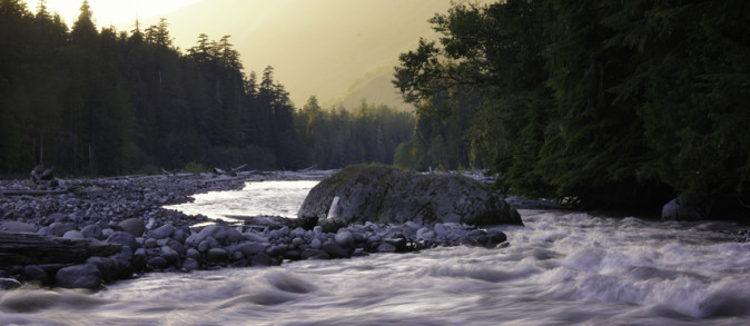 Sunset at Carbon River near Chenuis Falls, Mount Rainier National Park