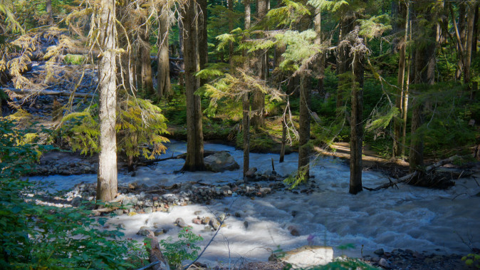 The Carbon River from the Wonderland Trail near Ipsut Creek Campground