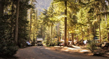 The White River Campground at Mount Rainier