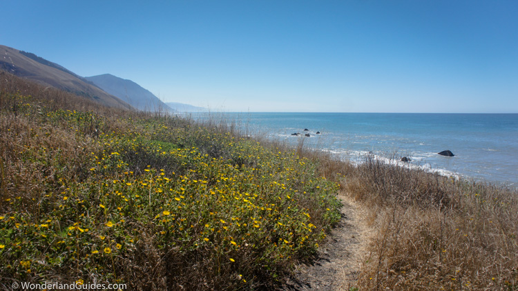 Near Randall Creek on the Lost Coast Trail