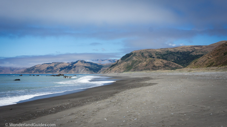 Mattole Beach near the start of the Lost Coast Trail