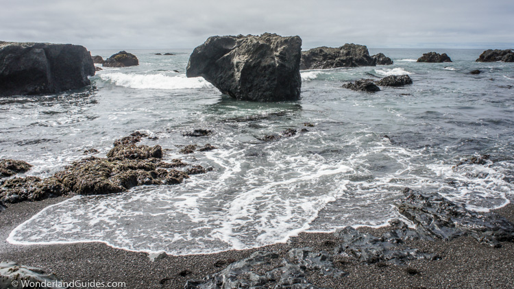 Near Fourmile Creek on the Lost Coast Trail