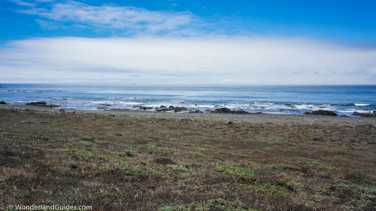 Coastal Prairie on the Lost Coast Trail