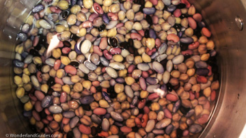 Bean medley soaking before dehydration.