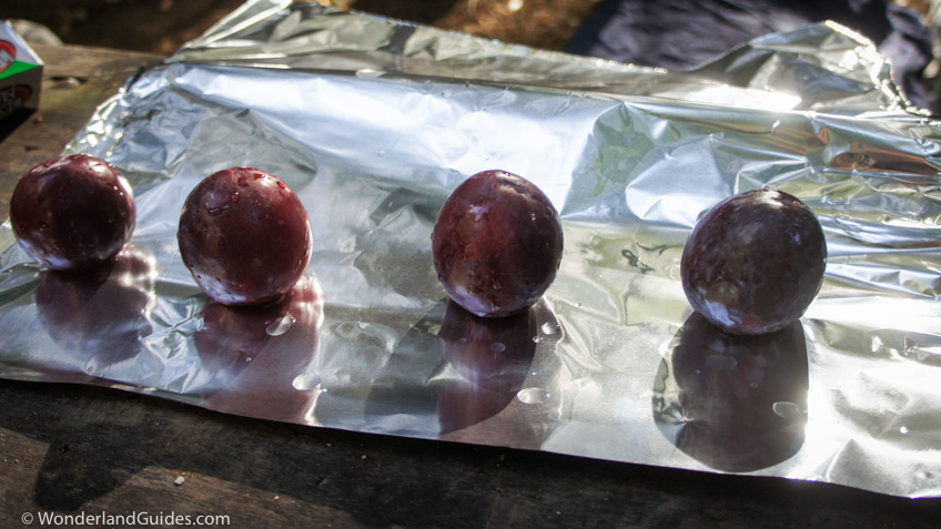 Plums on tin foil