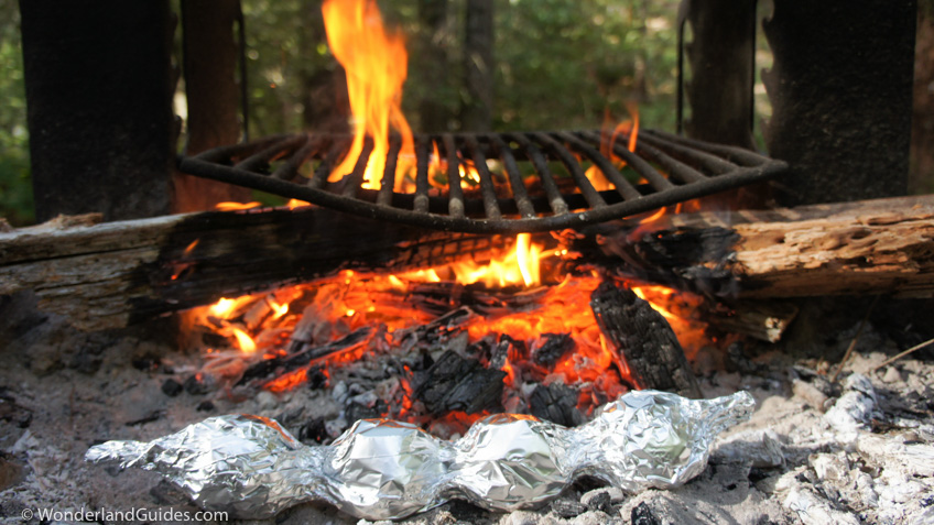 Wrapped plums in tin foil in a camp fire.