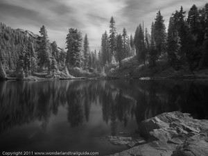 Mowich Lake - Infrared B&W