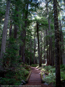 Fryingpan Creek section of the Wonderland Trail