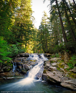 Carter Falls on the Wonderland Trail