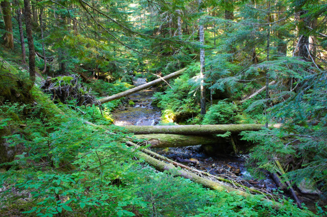 Ipsut Creek on the Wonderland Trail