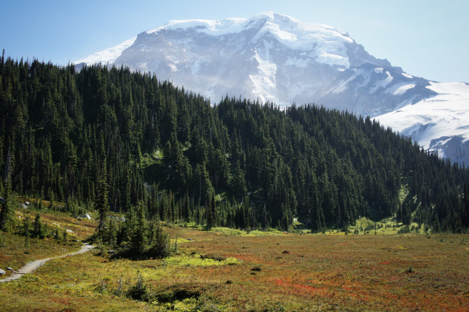 Moraine Park on the Wonderland Trail, Mount Rainier National Park