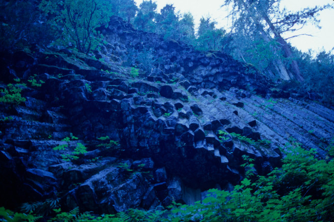Andesite columns form the Devils Pipe Organ - The Wonderland Trail, Mount Rainier National Park