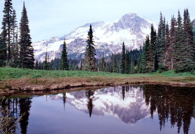 Indian Henry's Hunting Ground, The Wonderland Trail, Mount Rainier National Park