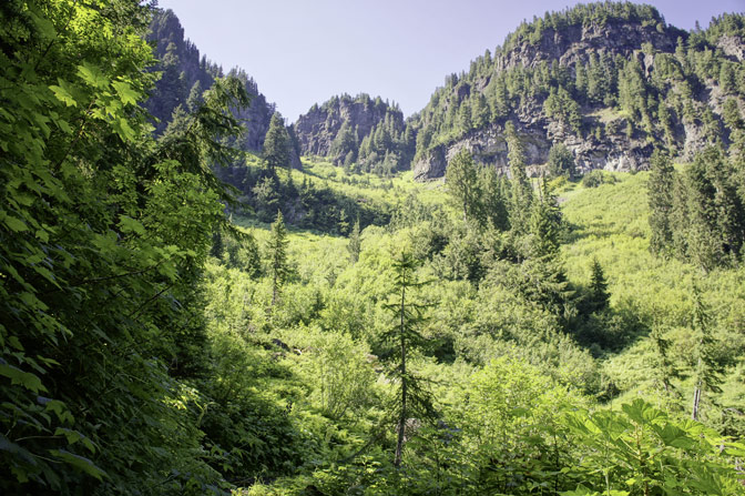 Ipsut Valley below Ipsut Pass on the Wonderland Trail