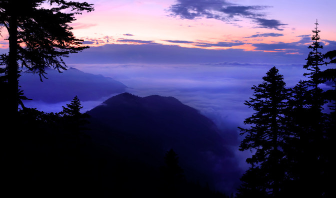 Klapatche Park Camp on the Wonderland Trail, Mount Rainier National Park