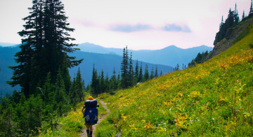 Hiking the Wonderland Trail