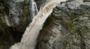 The Wonderland Trail, the North Puyallup River