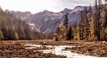 The Mowich River from the Wonderland Trail - Mount Rainier Guide Book