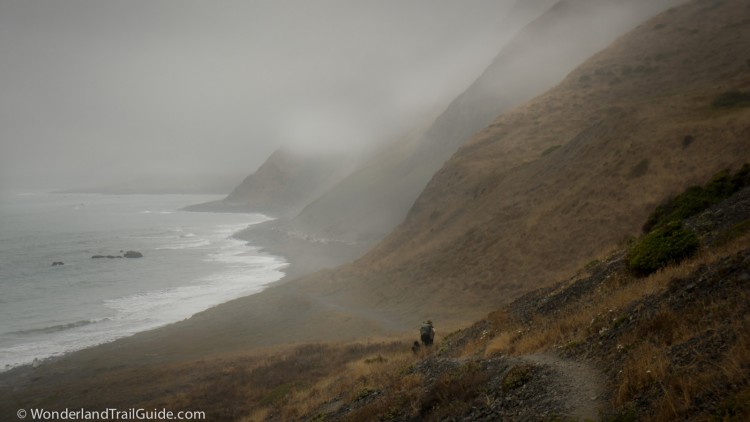 The Lost Coast Trail A Hiker s Guide to California s hidden coast Wonderland Guides