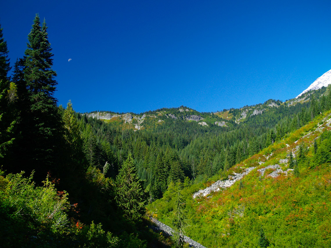 Stevens Canyon view