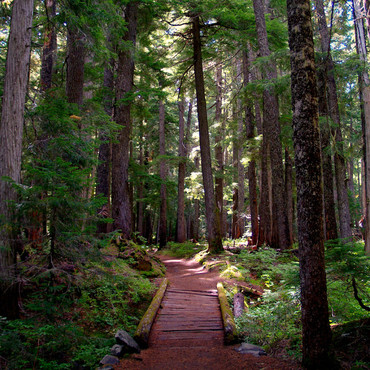 Fryingpan Creek