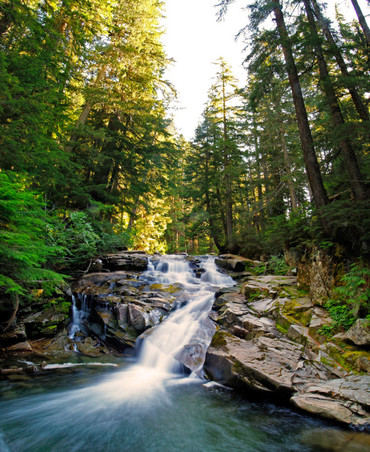 Paradise River