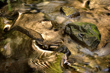 Stream detail