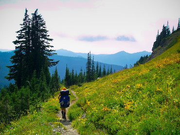The Wonderland Trail