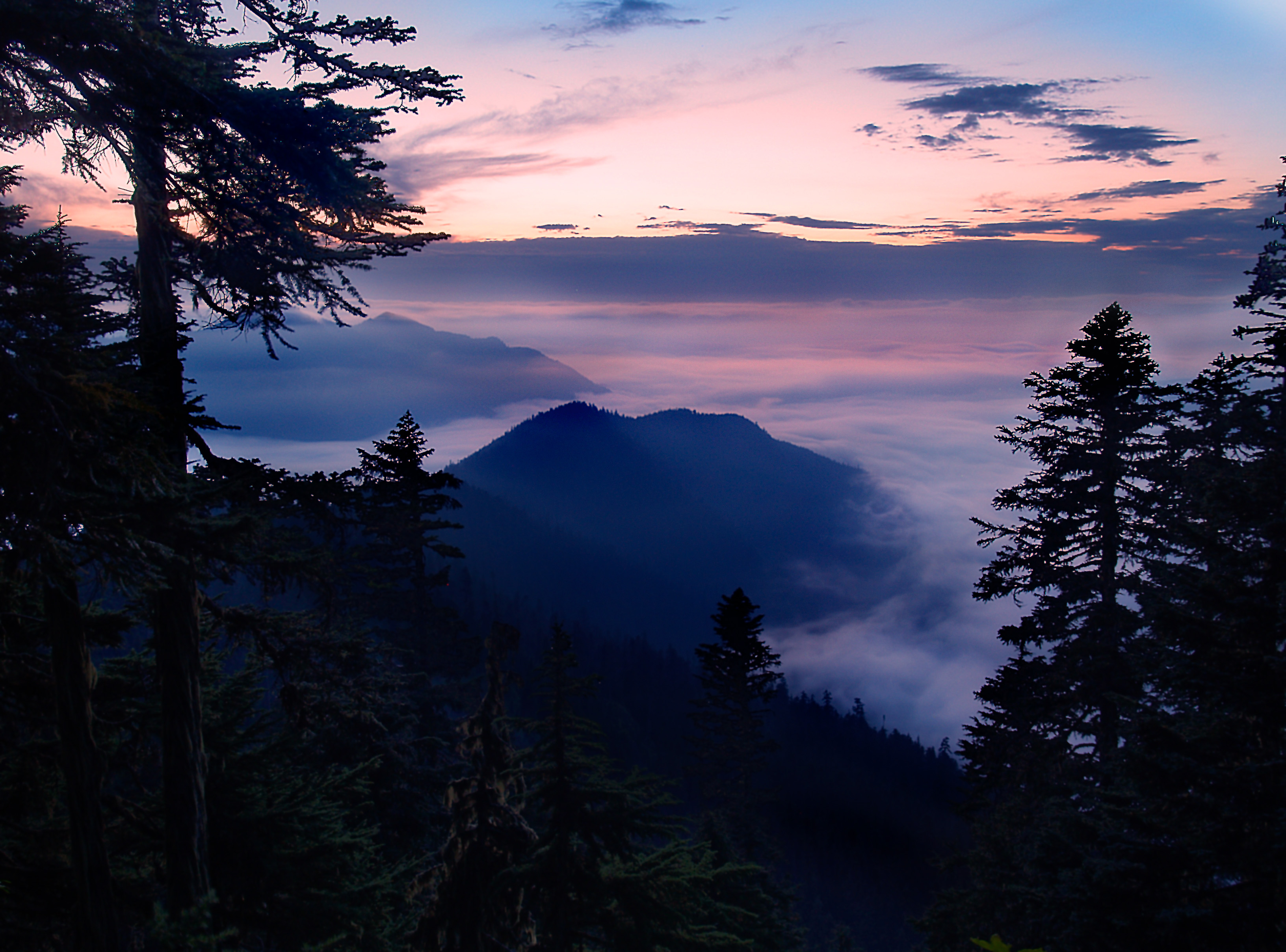Western Washington