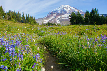 Climbing to Spray Park