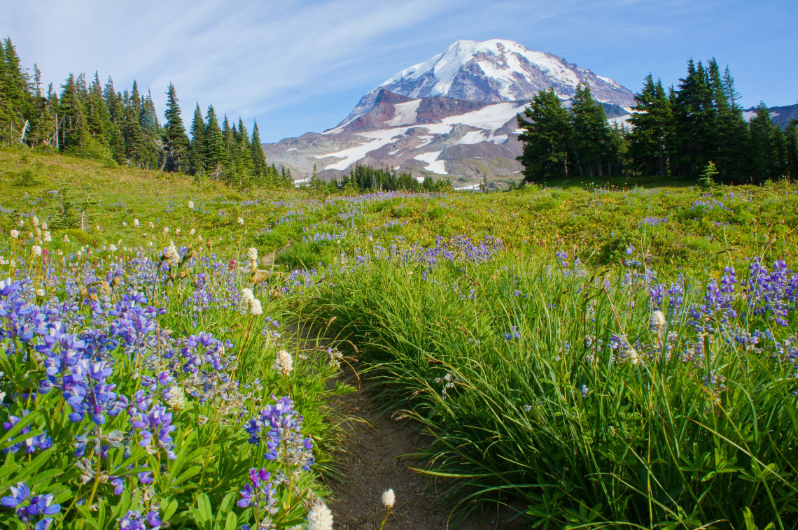 Climbing to Spray Park