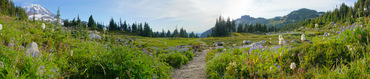Spray Park panorama