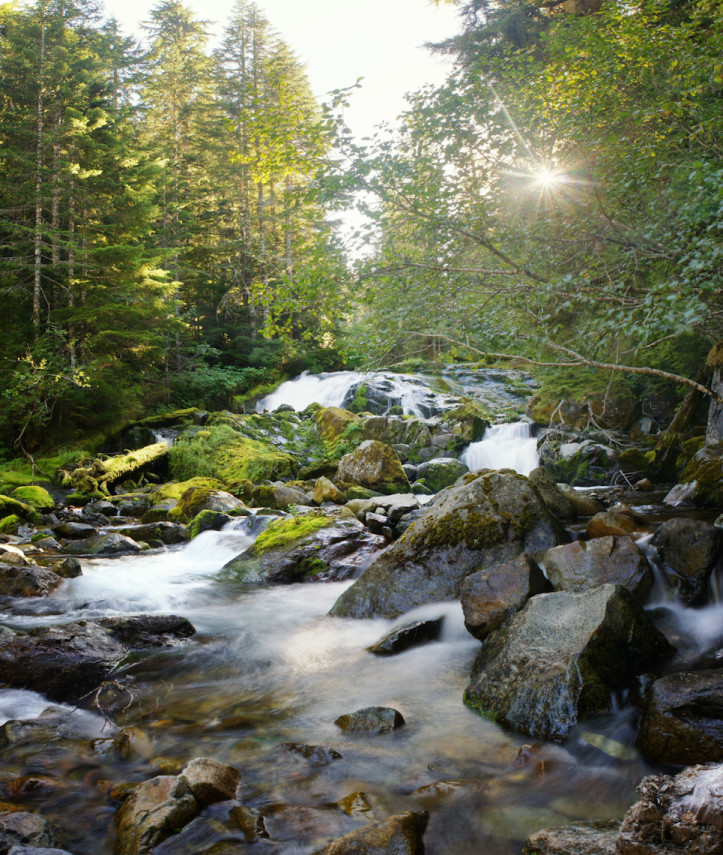 Carbon River camp