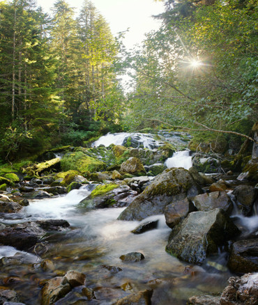Carbon River camp
