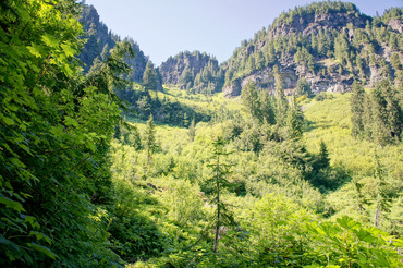 Ipsut Pass