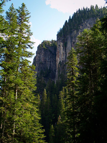 Fryingpan Creek trail