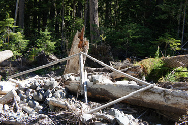 Last year's bridge