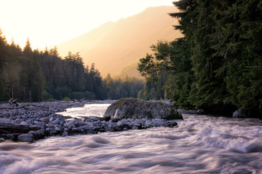The Carbon River