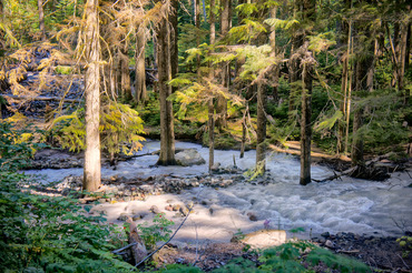 New river channel