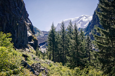 Climbing toward Carbon Glacier