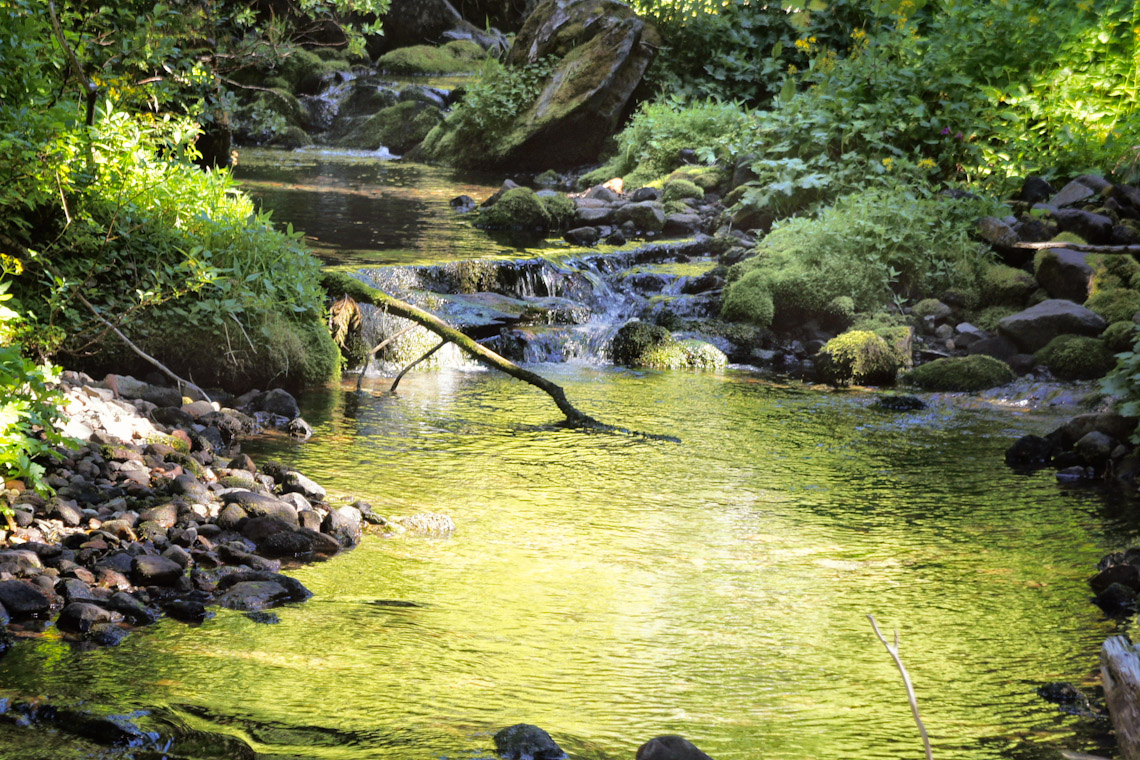 Stream