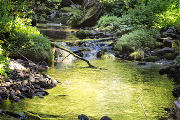 Stream