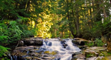 Paradise Falls - The Wonderland Trail book